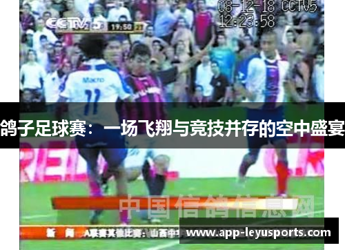 鸽子足球赛：一场飞翔与竞技并存的空中盛宴