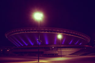 乐鱼体育在线入口-2025电竞新篇章：超级联赛精彩纷呈，谁会登顶？，2020电竞赛事